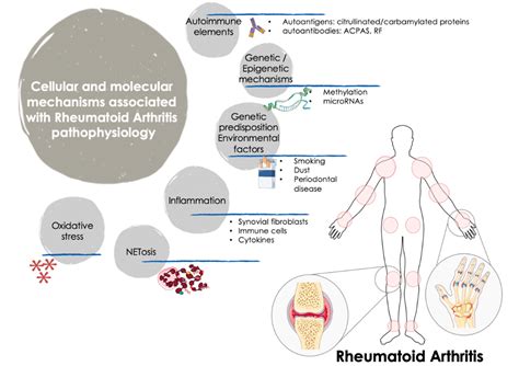 Ijms Free Full Text Effects Of Biological Therapies On Molecular