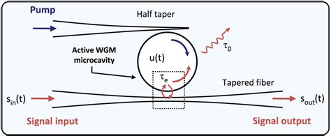 Schematic View Of A Three Port Wgm Erbium Doped Microsphere The Signal