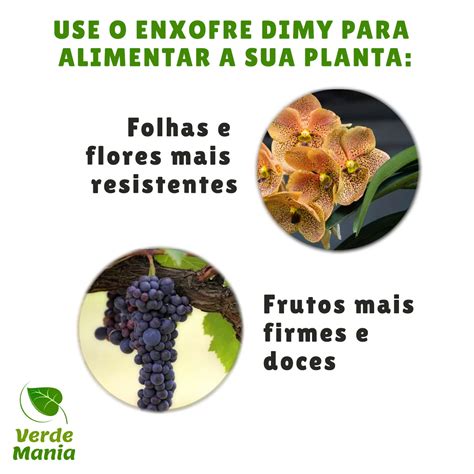 Enxofre Dimy G Fertilizante Foliar Verde Mania Porque Plantar Faz Bem