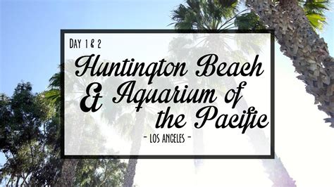 La Adventure Huntington Beach And Aquarium Of The Pacific Day 1 And 2