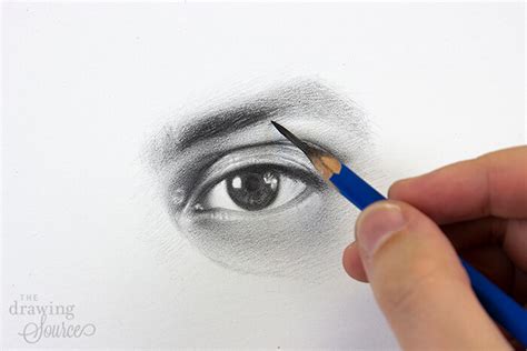 How To Draw Eyebrows Step By Step Realistic Drawing Tutorial