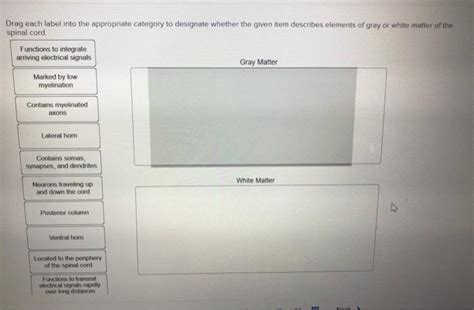 Solved Drag Each Label Into The Appropriate Category To