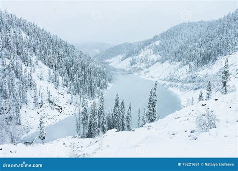 Beautiful Taiga Hills on Far East of Russia in Early October. Taiga in Winter. Beautiful Nature ...