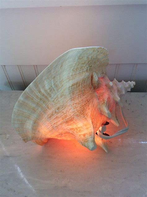 Vintage Conch Shell Lamp Seashell Light Tv Lamp Nightlight Etsy