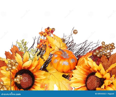 Pumpkin, Sunflowers And Fall Leaves Isolated. Autumn Stock Photo - Image: 44934262