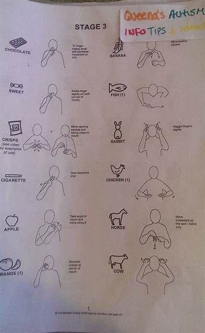 Sign Language Words Sign Language Alphabet American Sign Language