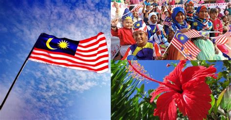 Getting Know The True Meaning Of Jalur Gemilang And Bunga Raya