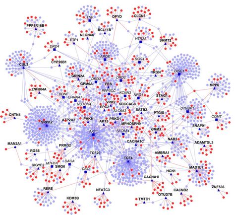 Network Medicine La Scienza Delle Reti Per Comprendere Le Malattie