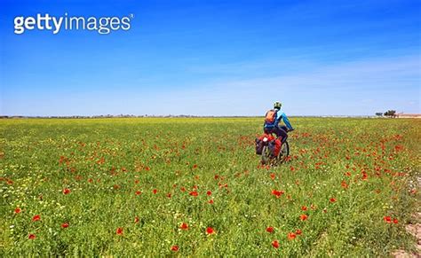 Biker By Camino De Santiago In Bicycle At Saint James Way Of Levante Of