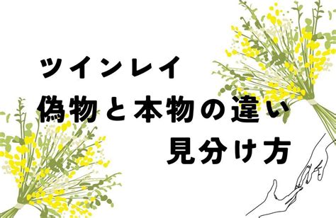 ツインレイ男性の容姿の特徴は？見た目で分かるシンボル5つ！パッと見で分かる特徴や目印について解説 Spicomi