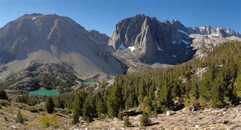 Ecosystems: Concept, Types and Characteristics of each one