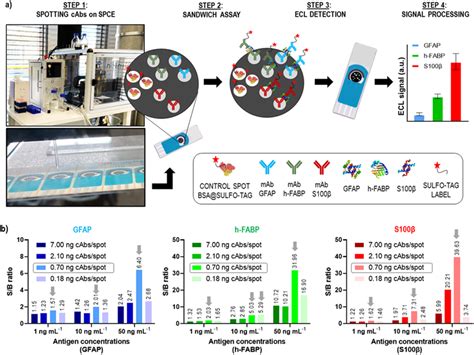 Microarray-type SR-ECLIA 3-plex protocol: a) schematic representation... | Download Scientific ...