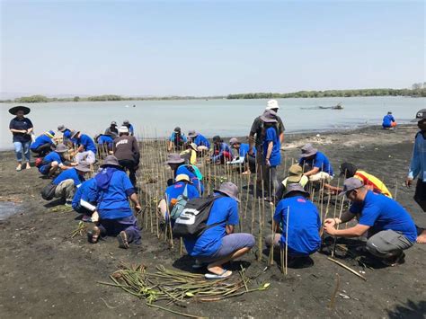 3m Indonesia Usung Pemberdayaan Budidaya Perairan Yang Berkelanjutan Ke