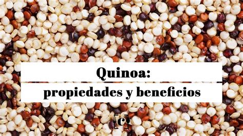 Quinoa Propiedades Beneficios Y Su Uso En La Cocina Youtube