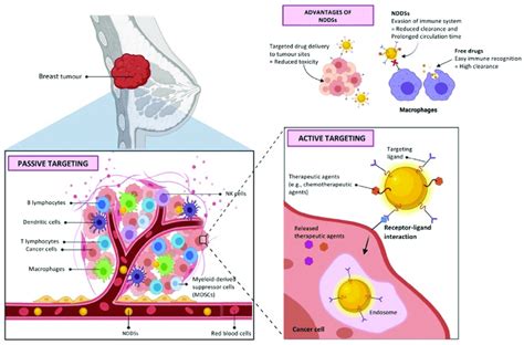 Schematic Design For Targeted Drug Delivery System Procedure Based On