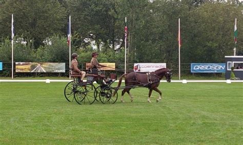 WM Ponyfahrer Oirschot Gelungener Auftakt für Bianca Pürstinger und