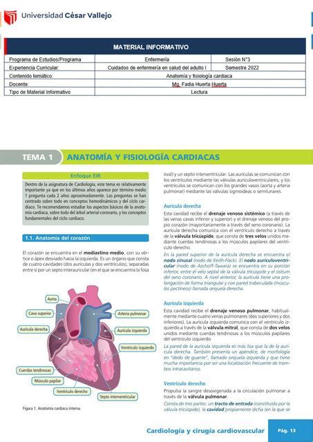 Anatom A Fisiolog A Y Semiolog A Cardiaca Sumiko Lopez Udocz