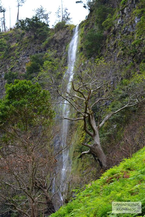 Caminheiros Anónimos Levadas da Madeira Levada Nova da Ponta do Sol