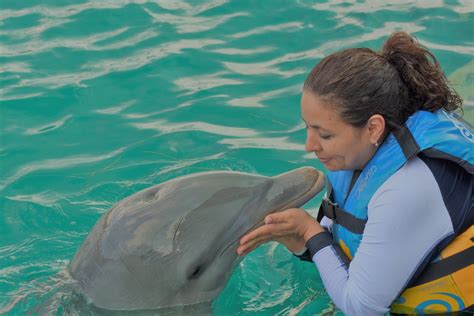 Nado Con Delfines En Canc N E Isla Mujeres Una Experiencia Nica