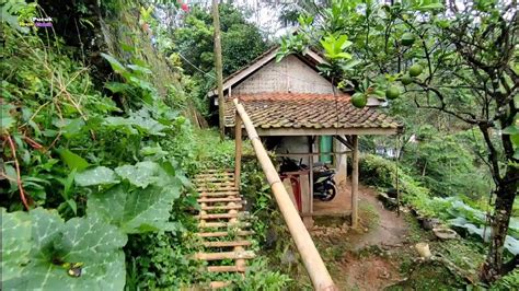 Di Jamin Betah Kampung Di Lereng Gunung Suasana Alam Pedesaan Yg Indah