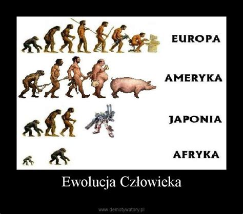 Ewolucja Człowieka Demotywatory pl