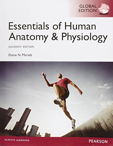 9781292057200 Essentials Of Human Anatomy And Physiology Global Edition Abebooks Marieb