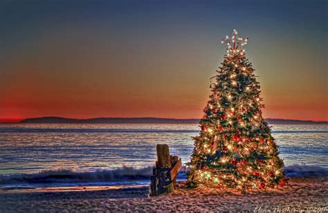 Christmas On Beach Wallpapers 4k Hd Christmas On Beach Backgrounds