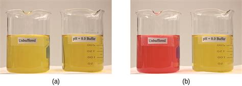 Ammonium Chloride Buffer Hot Sex Picture