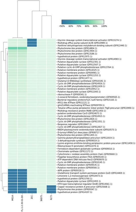 Heatmap Of Sequence Similarity Of Qs Related Proteins Between B