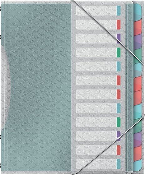 Esselte Trieur à 12 Compartiments pour Documents A4 Pochettes en