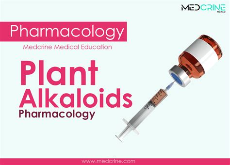 Plant alkaloids pharmacology | Medcrine