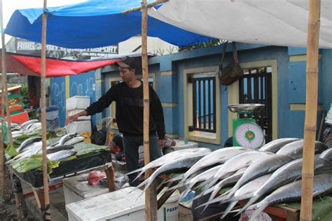 Ikan Bandeng Jumbo Khas Rawa Belong Jelang Imlek