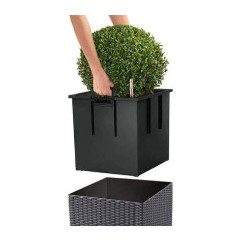 Lechuza Jardiniere Cube Cottage All In One Moka Gamm Vert