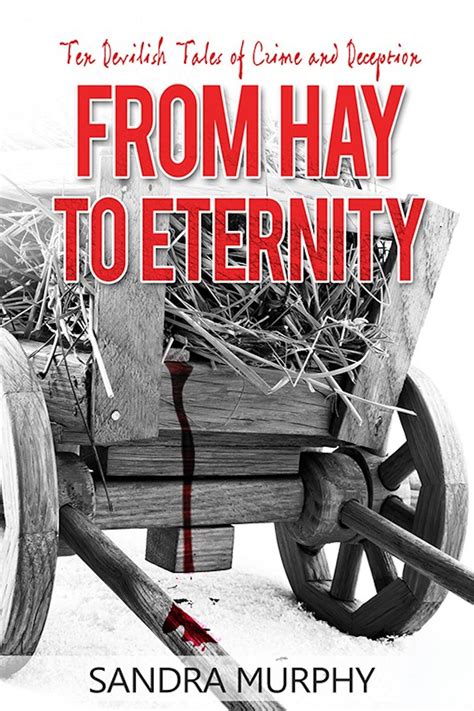 From Hay to Eternity by Sandra Murphy – White City Press