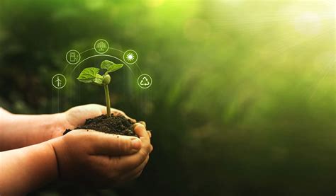 horticulture gardening home studies gardening courses