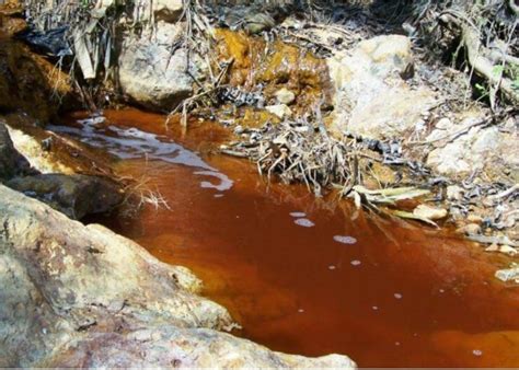 Derrama Grupo México Tres Mil Litros De ácido Sulfúrico En Mar De Cortés PÓrtico