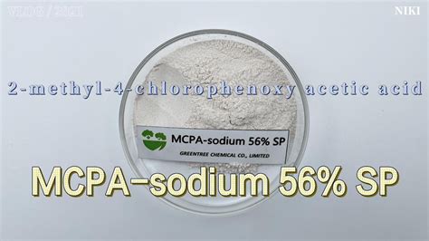 MCPA Sodium 56 SP CAS 3653 48 3 MCPA Na 2 Methyl 4 Chlorophenoxy