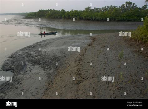 Sundarbans National Park Is A Large Coastal Mangrove Forest Shared By