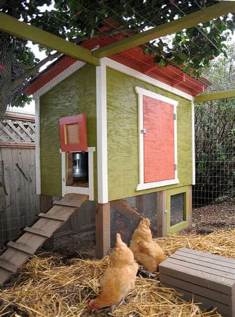 11 Backyard Chicken Coop Ideas for Aspiring Homesteaders