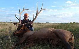 Colorado Elk Hunts Antelope Mule Hunts Palmer Outfitters