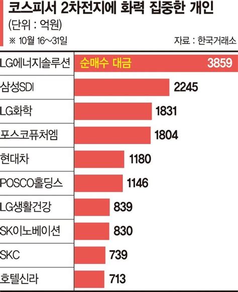 2차전지주 늪에 빠진 개미들 네이트 뉴스