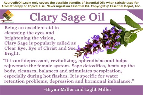 Uses Of Clary Sage Essential Oil Essential Oil