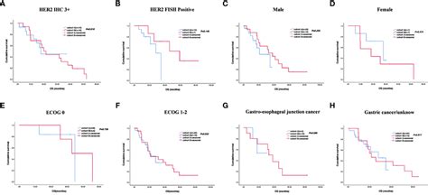 Stratified Analysis Of Overall Survival In Different Subgroups