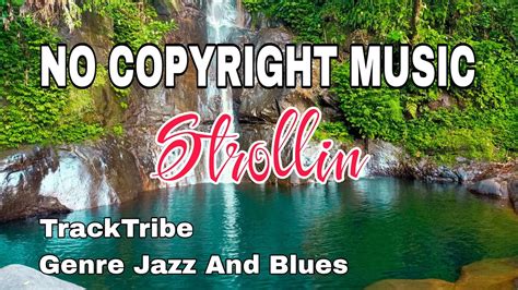 Strollin TrackTribe No Copyright Music Sound Audio Library YouTube