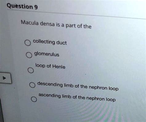 Solved Question Macula Densa Is A Part Of The Collecting Duct