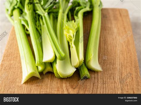 Celery. Leaves Stem Image & Photo (Free Trial) | Bigstock