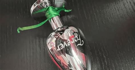 Juguete Sexual Una Mujer Fue Detenida Por Llevar Las Cenizas De Su Novio En Un Juguete Anal En