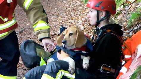 Spektakul Re Rettung Von Hund Tete In Neckarsteinach Video