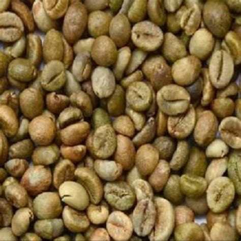 Washed Arabica Green Coffee Beans Grade Unwashed Arabica Green Coffee