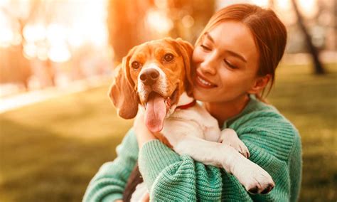 Tener un perro te hará fortalecer el cerebro lo indican estudios